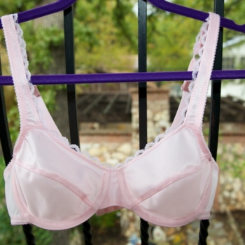 Linda bra from Pin-up Girls | Cloth Habit