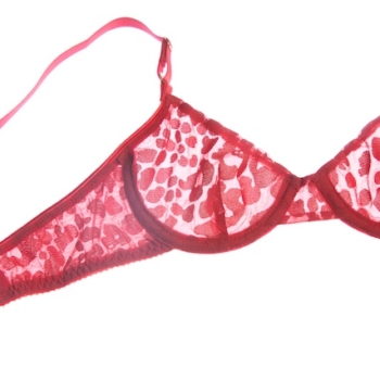About the frameless bra and my take on it in sheer leopard mesh.