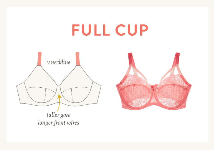 Illustration of full cup bra features | Cloth Habit