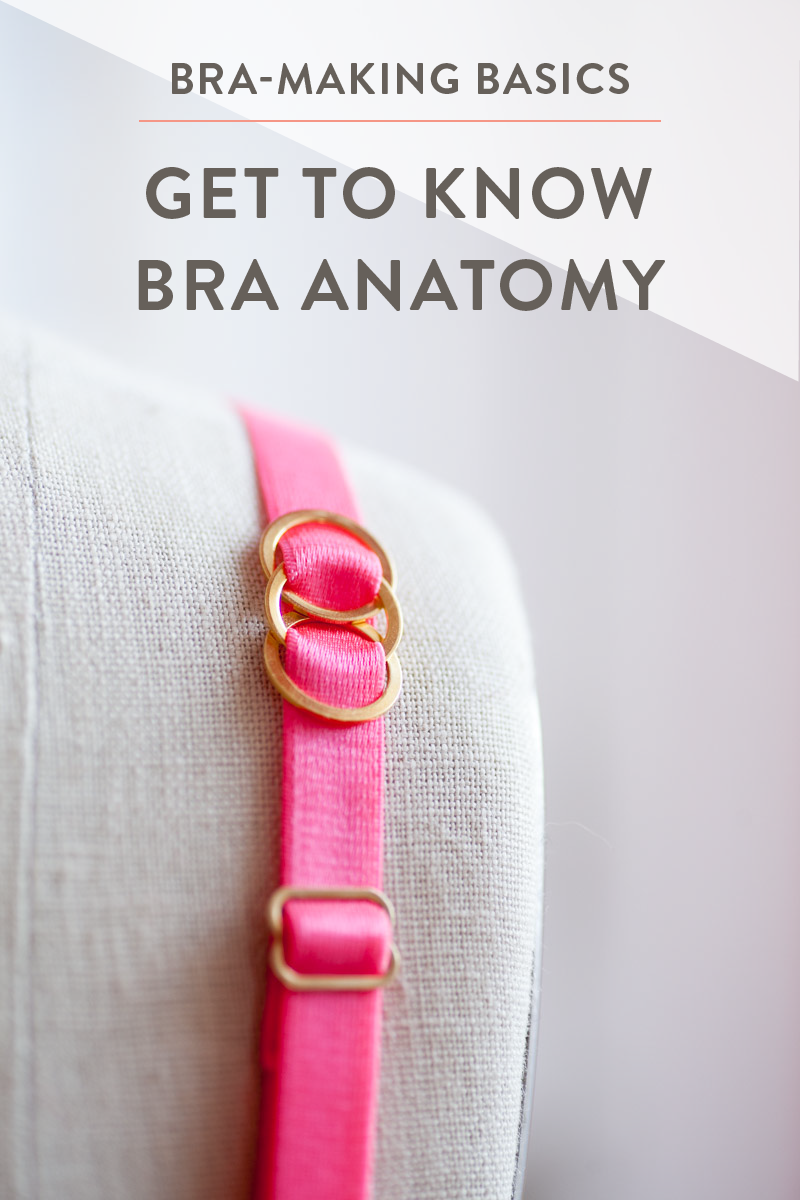 Learn the basics of bra anatomy and the purpose of straps, bands and cups for both support and style.