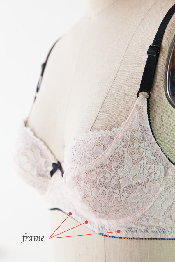 Learn the basics in bra anatomy and the purpose of the various parts for both support and style.