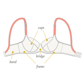 basics in bra anatomy | cloth habit